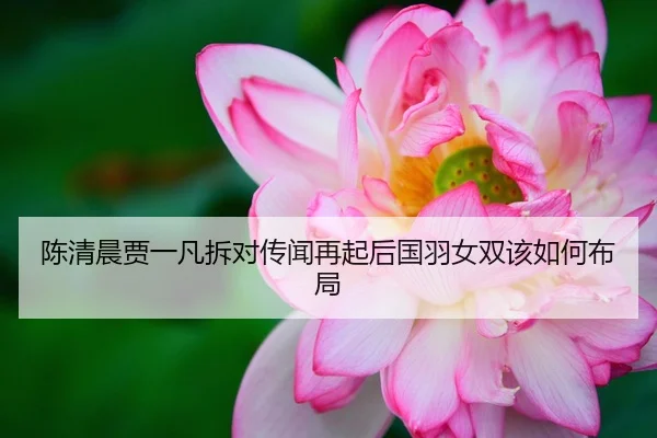 陈清晨贾一凡拆对传闻再起后国羽女双该如何布局